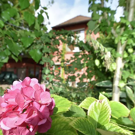 Apartment Countryside With Garden Schallstadt