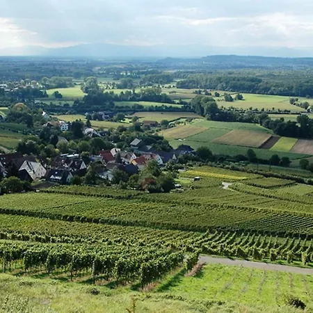 Countryside With Garden