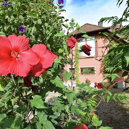 Countryside With Garden Schallstadt