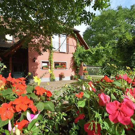 Countryside With Garden
