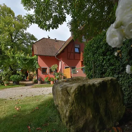 Countryside With Garden Apartment Schallstadt