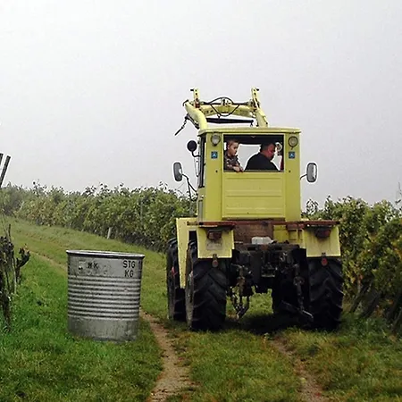 Appartement Family-friendly Schallstadt