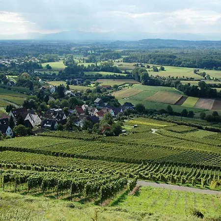 Family-friendly * Schallstadt