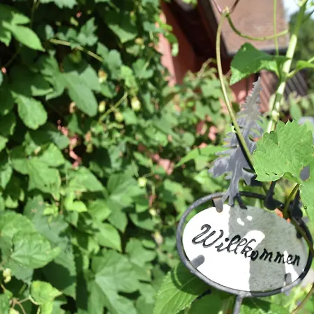 Appartement Family-friendly