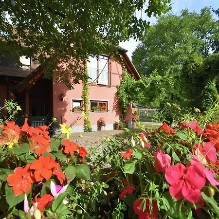 Appartement Family-friendly Schallstadt