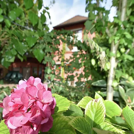 Family-friendly Appartement Schallstadt