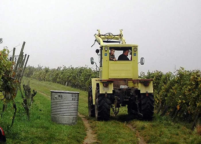 شقة Family-friendly شالشتاد