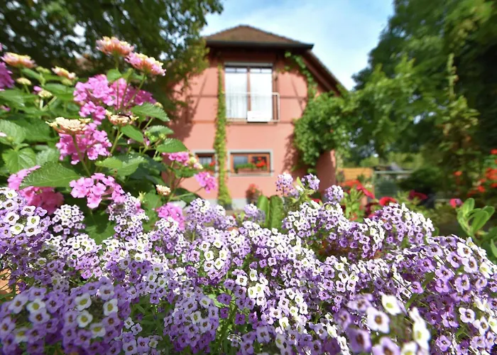 Family-friendly شقة *