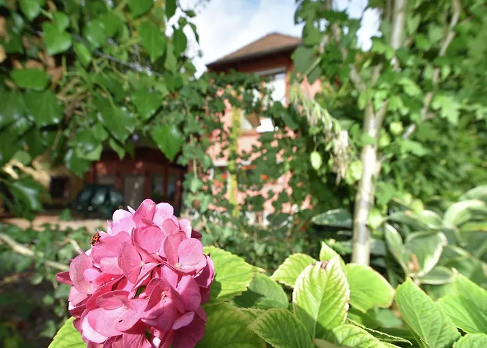 Family-friendly شقة شالشتاد